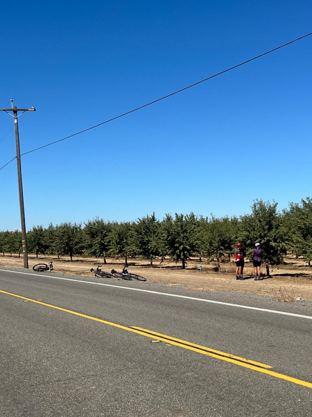 day 74: choose your own adventure&nbsp;🗺️