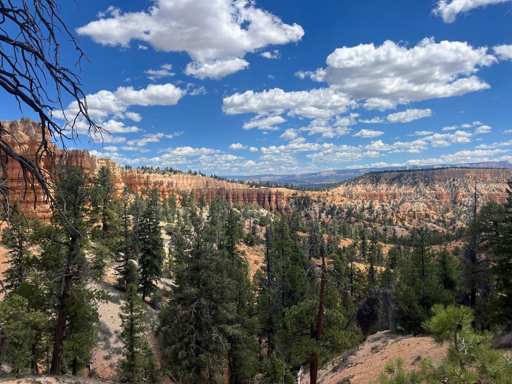 day 58: running it back&nbsp;🏜️