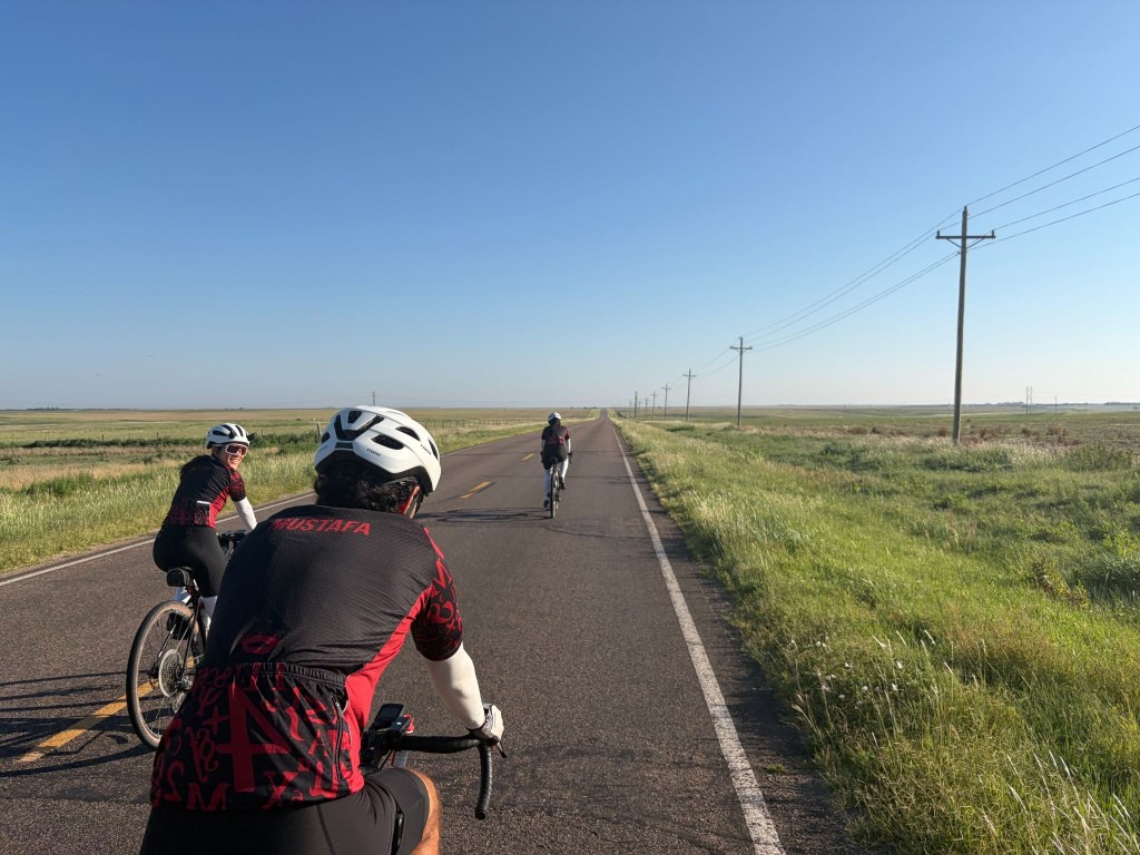 Day 36: life is still a highway (50)
